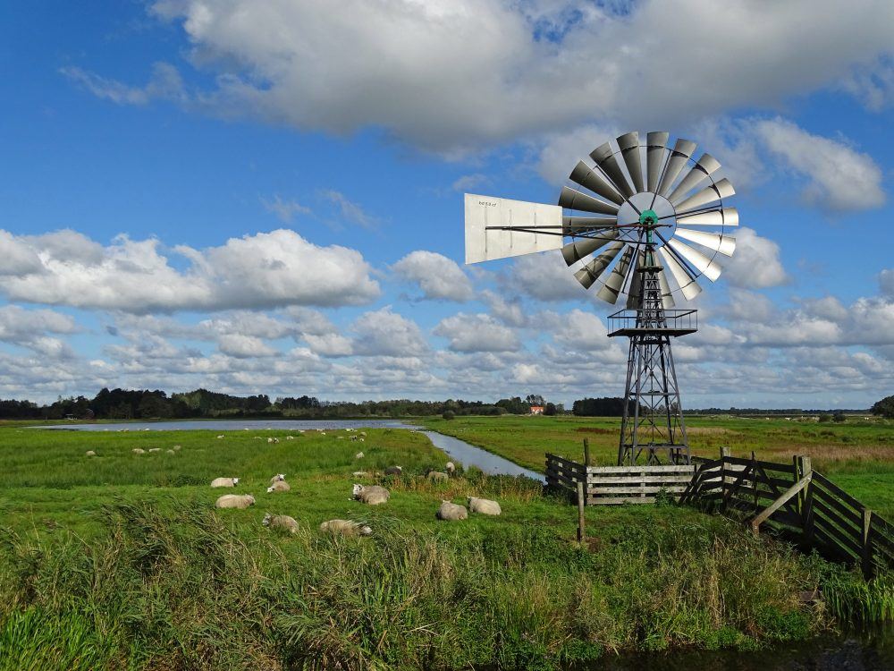 NP De Alde Feanen